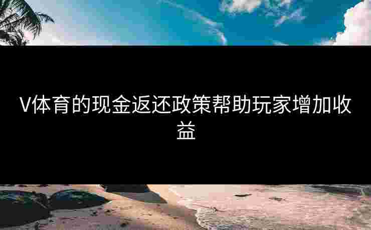 V体育的现金返还政策帮助玩家增加收益