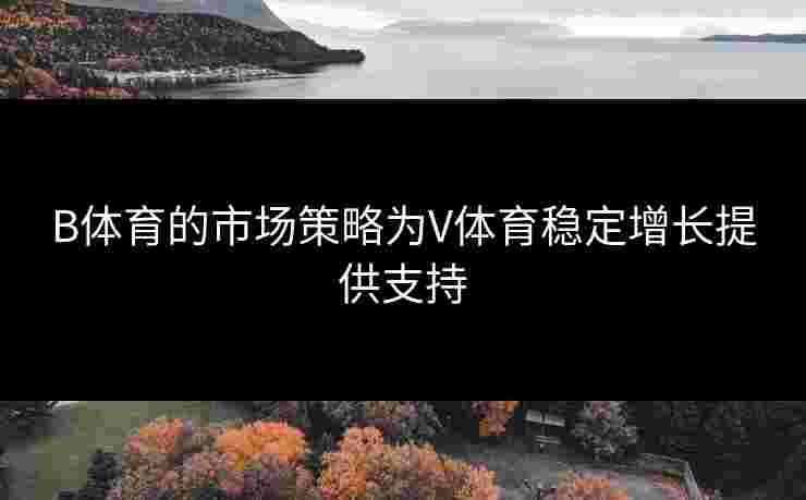 B体育的市场策略为V体育稳定增长提供支持