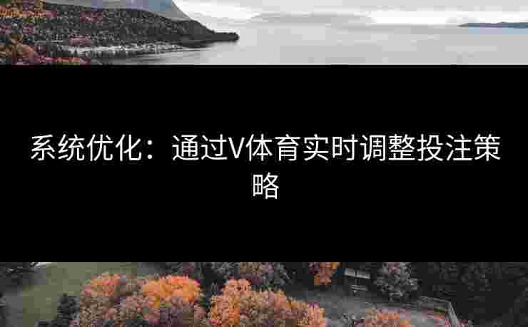 系统优化：通过V体育实时调整投注策略