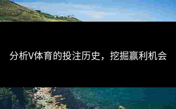分析V体育的投注历史，挖掘赢利机会