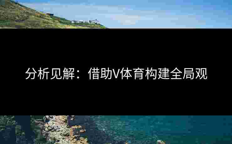 分析见解：借助V体育构建全局观