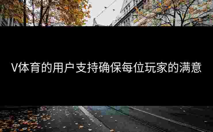 V体育的用户支持确保每位玩家的满意