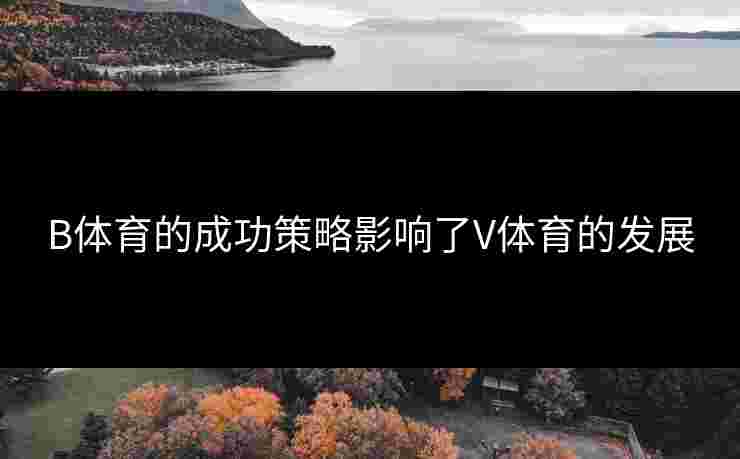 B体育的成功策略影响了V体育的发展